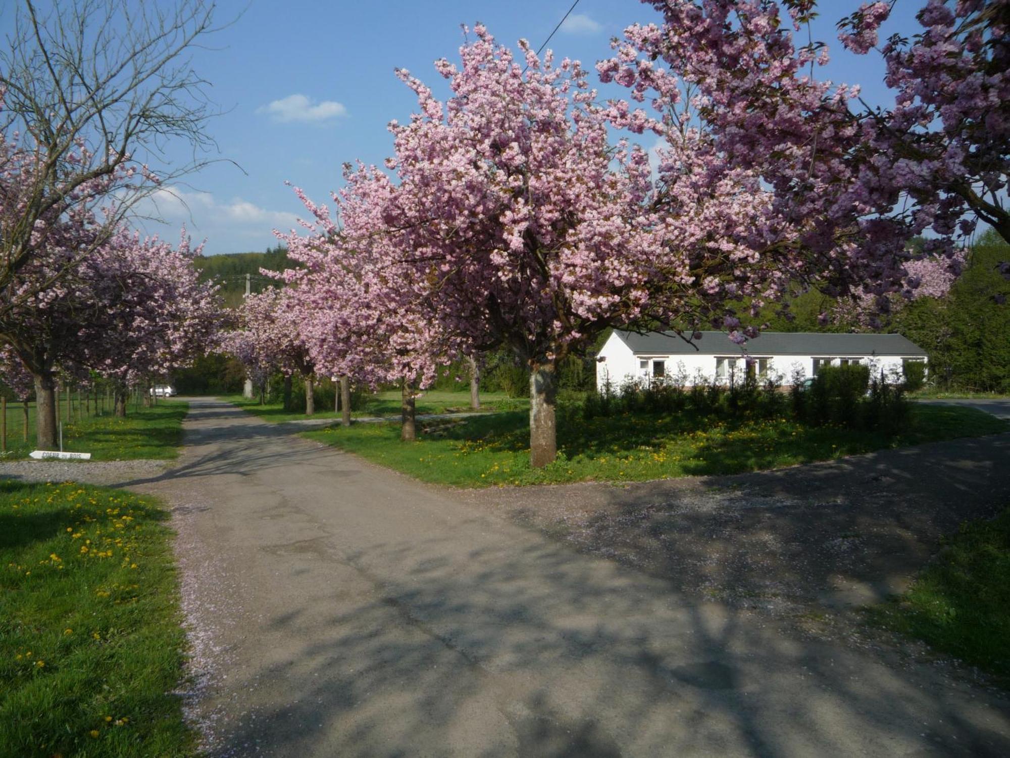 Le Brissoneau Rendeux Motel Екстериор снимка